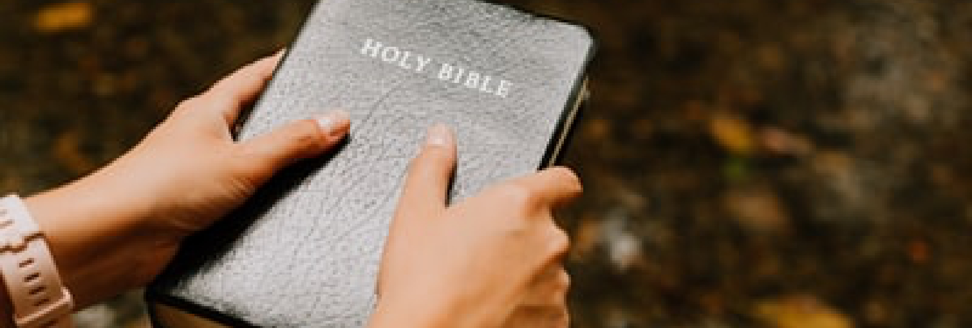 holy bible